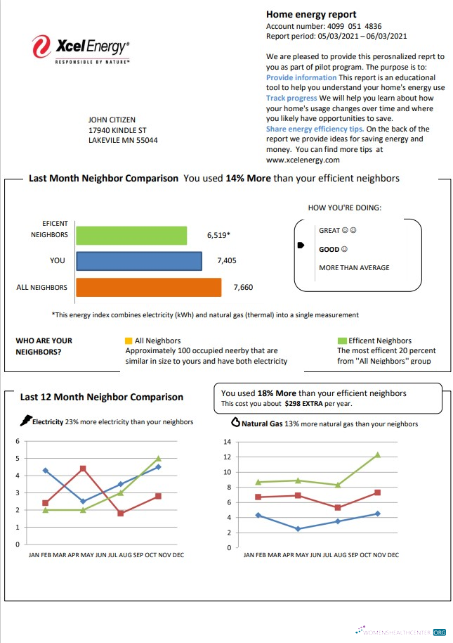 download USA Minnesota Xcel Energy utility bill template in Word and PDF format (.doc and .pdf) PDF template